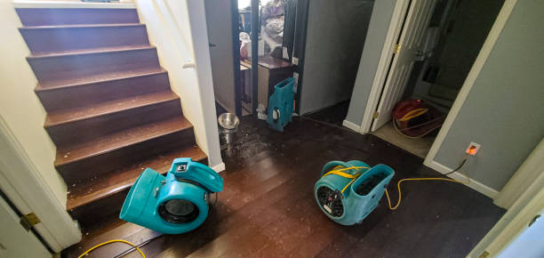 Best Emergency water damage restoration  in Cridersville, OH