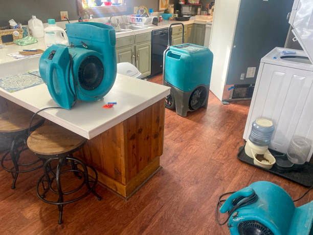 Best Water damage contractors near me  in Cridersville, OH