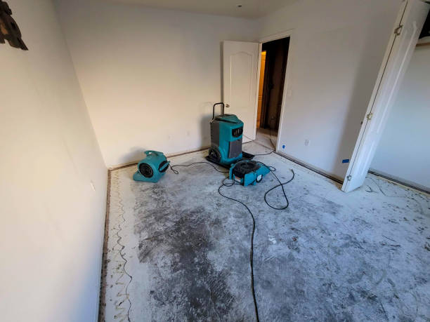 Best Carpet water damage restoration  in Cridersville, OH