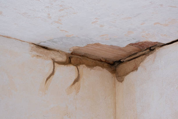 Best Commercial water damage restoration  in Cridersville, OH