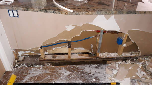 Best Basement water damage restoration  in Cridersville, OH