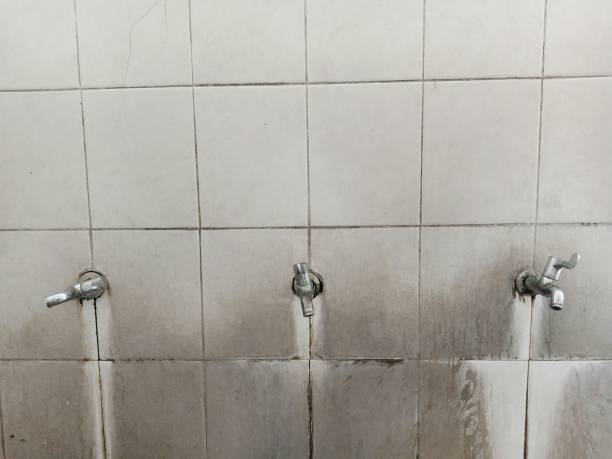 Best Water damage contractors near me  in Cridersville, OH