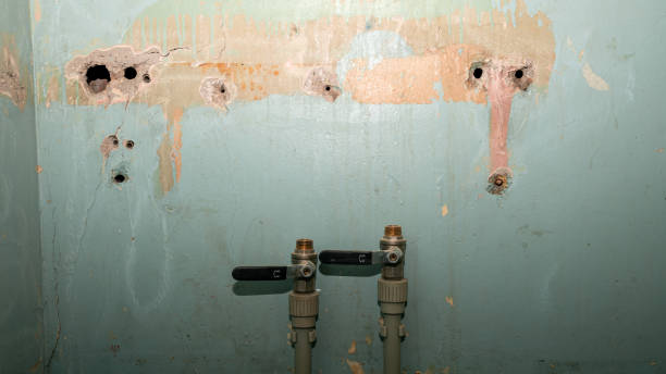  Cridersville, OH Water damage restoration Pros