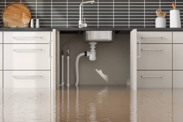 Best Water damage restoration experts  in Cridersville, OH