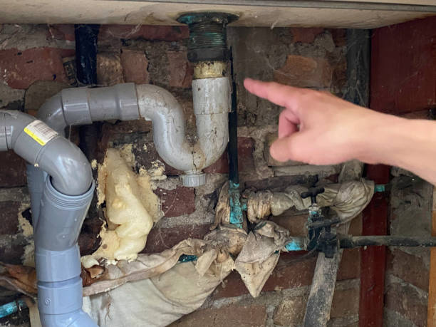 Best Flood restoration services  in Cridersville, OH