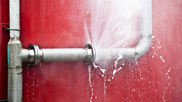 Best Local water damage restoration  in Cridersville, OH